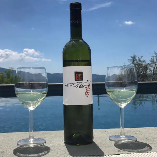 f34806f4-b95d-491a-adba-0fb68e95b1f0