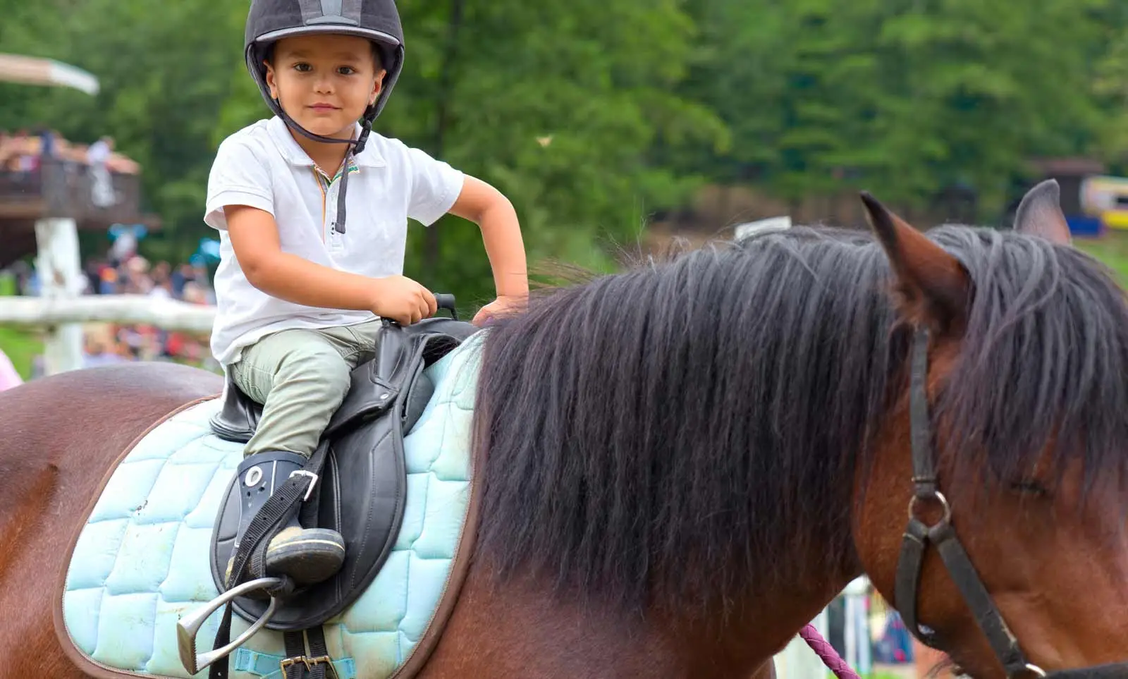 Young boy riding a horse