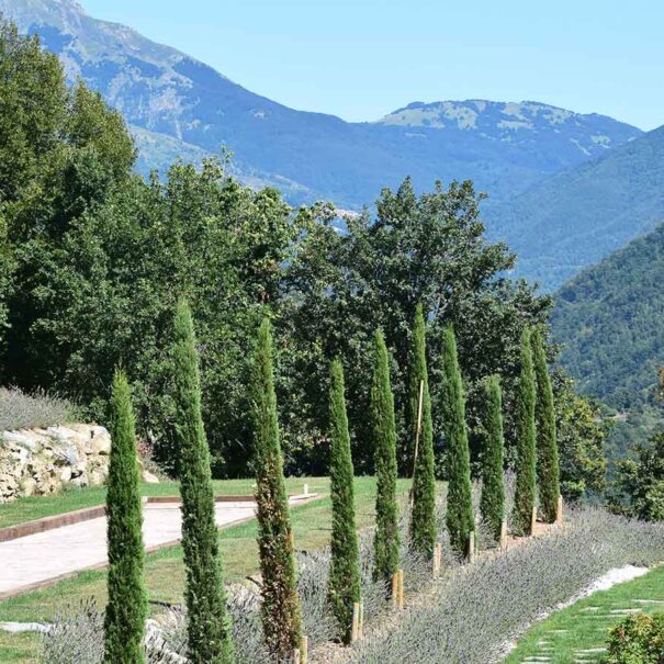 VLB Bocce and Mopuntains